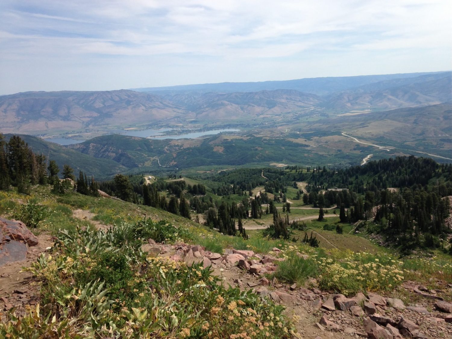 Wildflowers and the long view down to Pineview Reservoir from the high trails