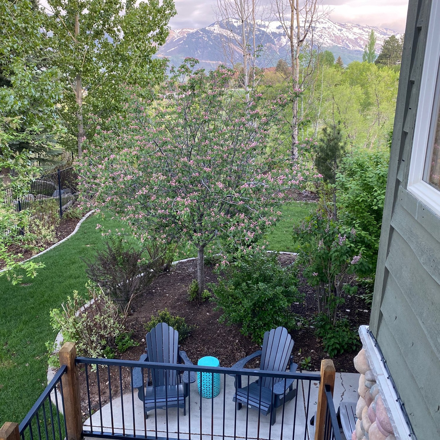 The back deck in late spring, with chairs on the patio below, a crabapple in blossom and snow still on the peaks