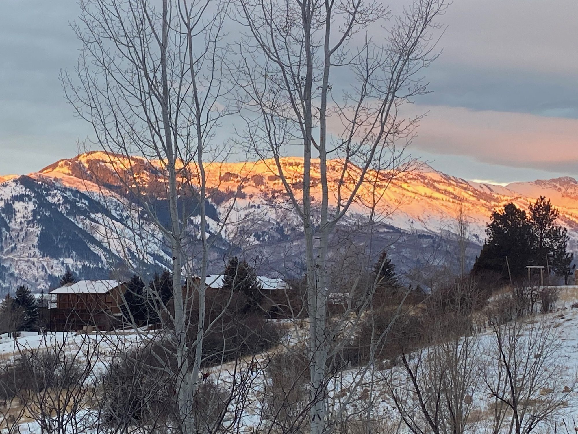 Alpenglow on the snow-covered Wasatch peaks at sunset, seen from the back porch of Cascades 102