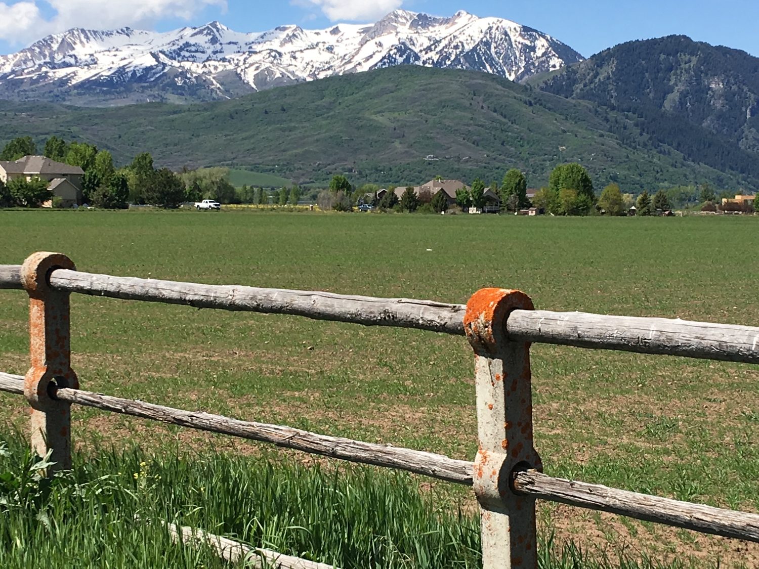 Hay meadow and rail fence along the valley trail with the snow-capped Wasatch behind