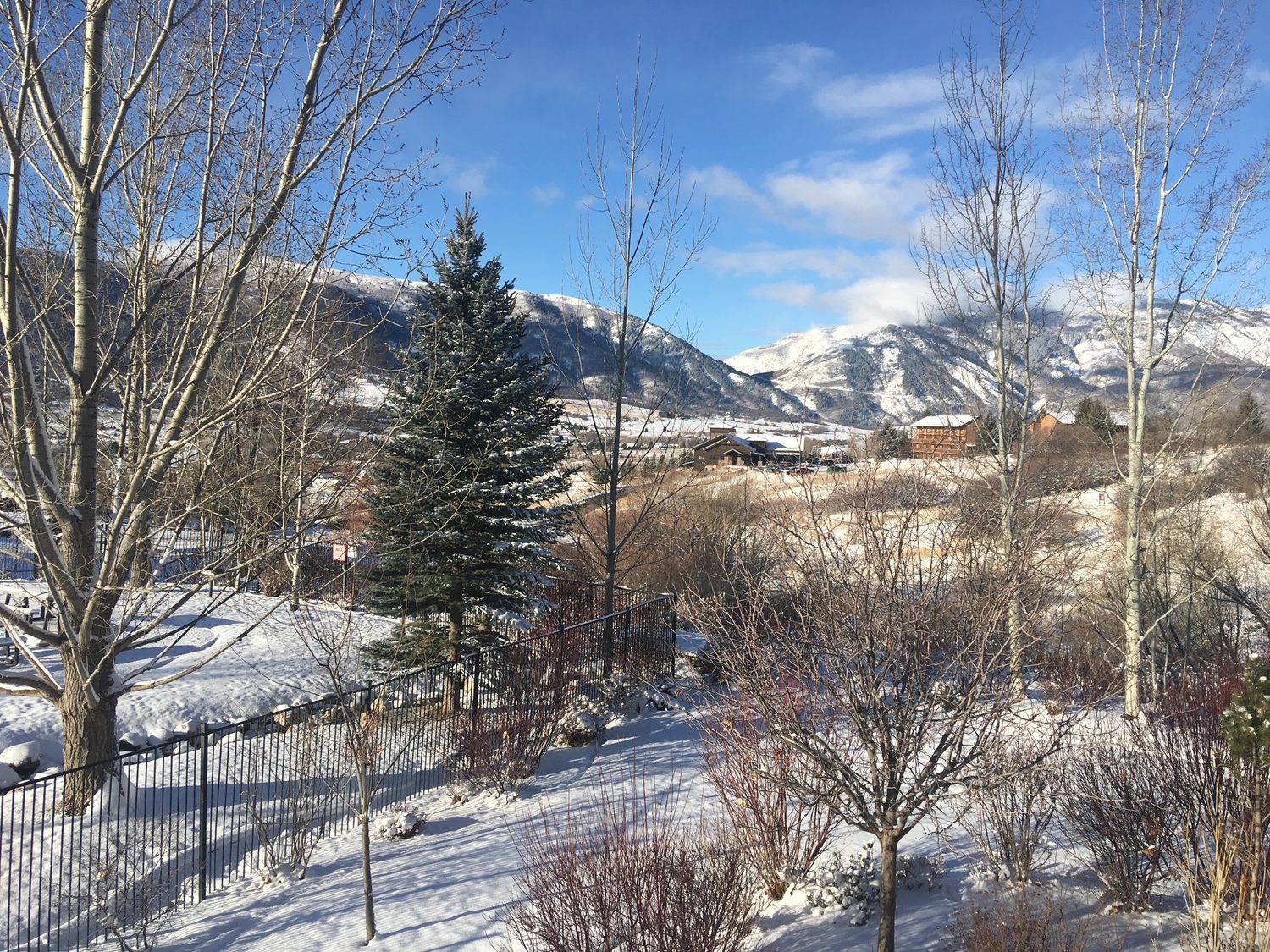 Winter morning view from the back porch across snow to the Wasatch range