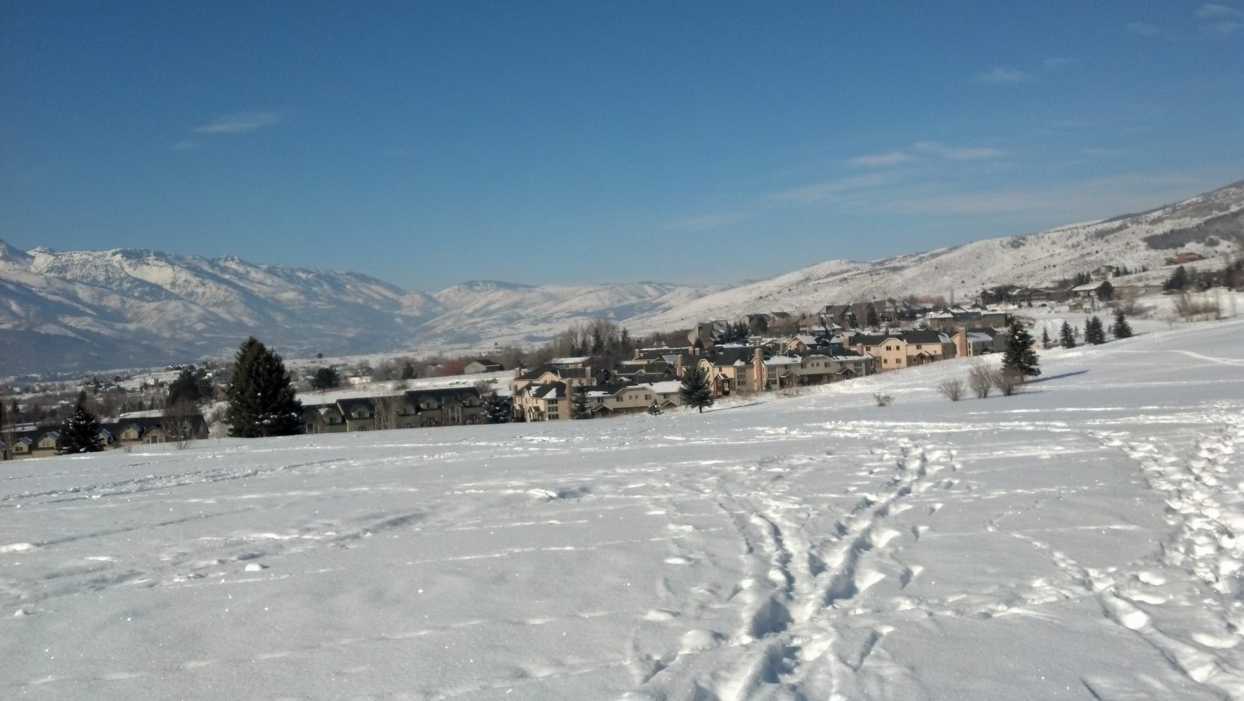 Moose Hollow under snow, seen across an untracked field with ski tracks running toward it